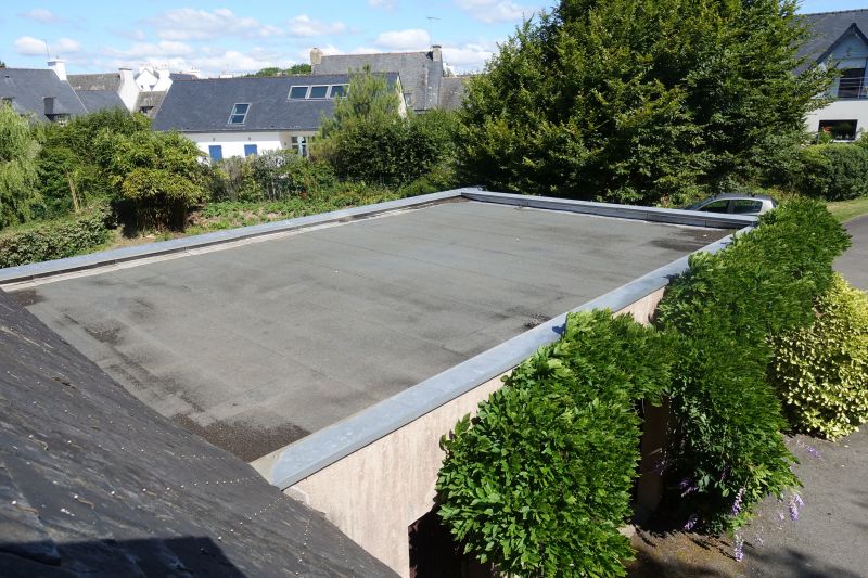 Eco-Friendly Roofing Options